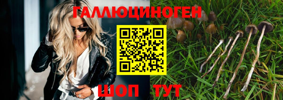 Псилоцибиновые грибы прущие грибы Новокуйбышевск
