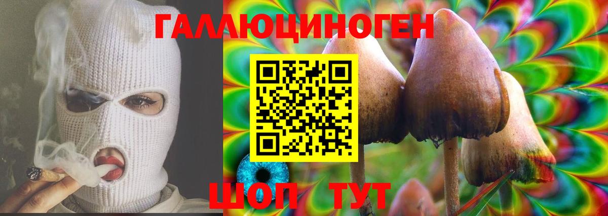 Новокуйбышевск  Галлюциногенные грибы Psilocybine cubensis  Псилоцибиновые грибы Psilocybe  Вход с VPN 
